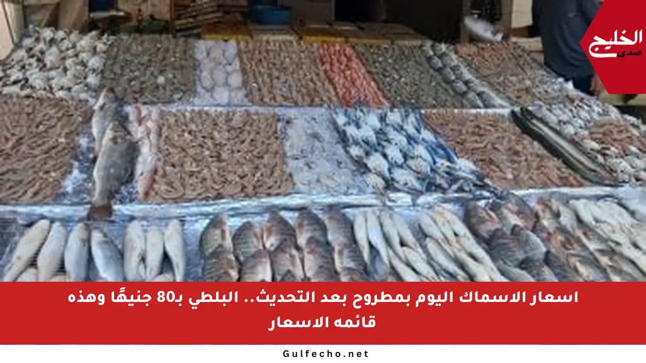 أسعار الأسماك اليوم بمطروح بعد التحديث.. البلطي بـ80 جنيهًا وهذه قائمة الأسعار